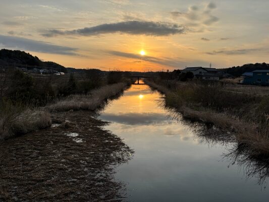 亀成川の全景