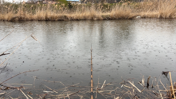 雨降りの釣り場