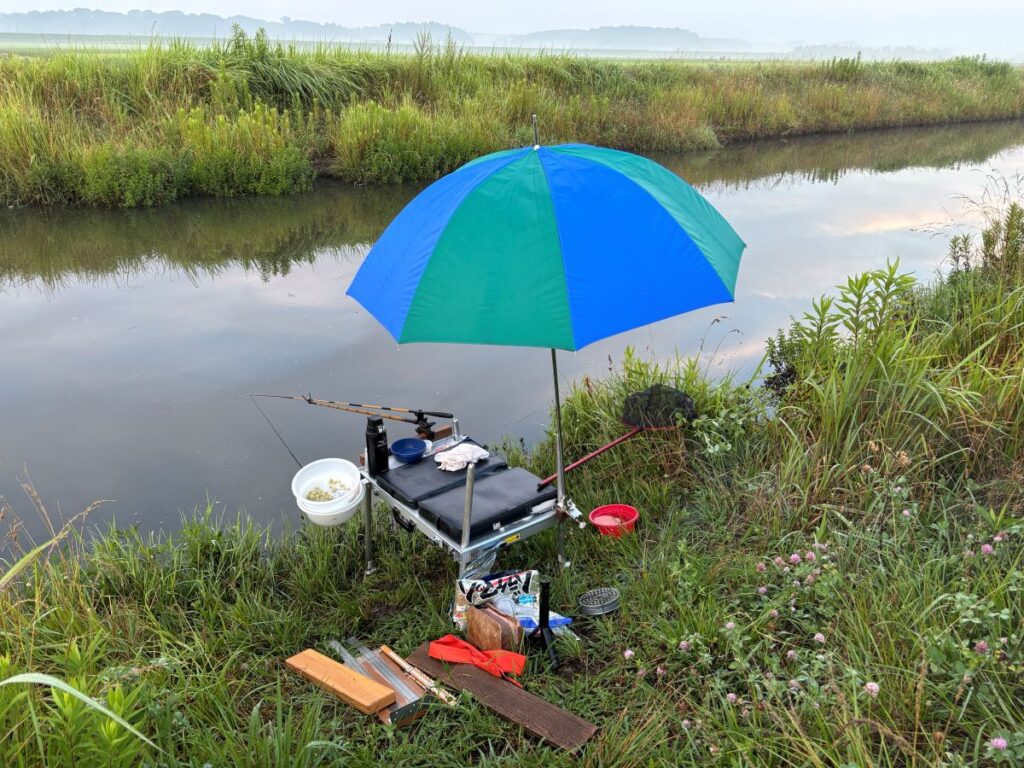 今に集中する野のへらぶな釣り