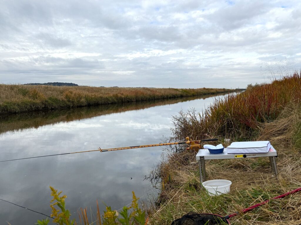 晩秋の新木水路の朝の風景
